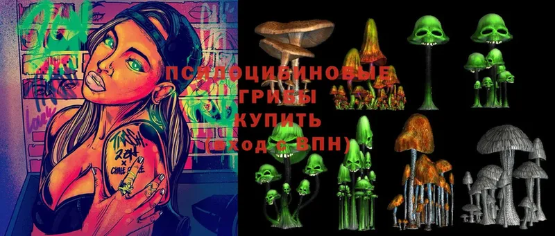 Псилоцибиновые грибы Cubensis Вуктыл